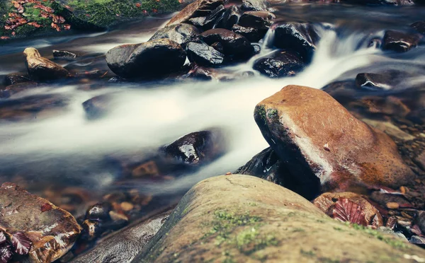 Mountain fast stream river — Stock Photo, Image