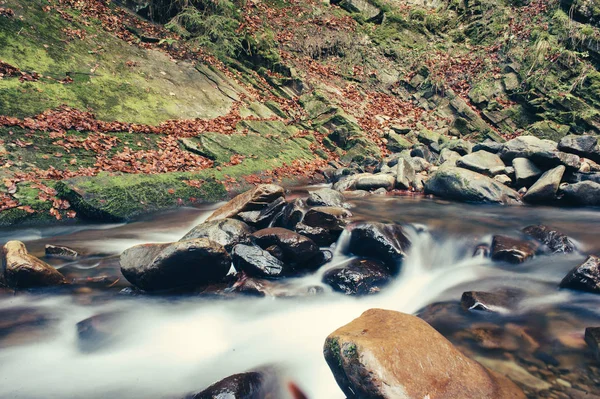 Mountain fast stream river — Stock Photo, Image