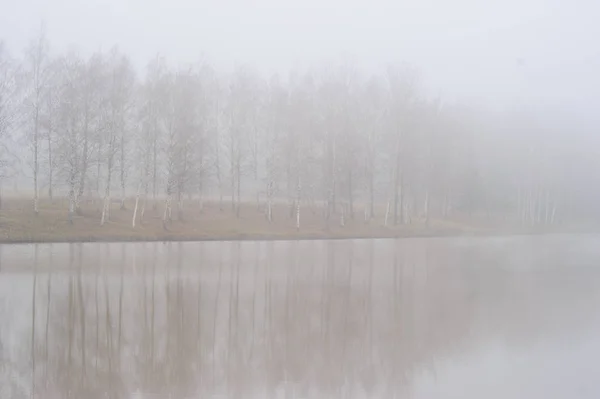 Dimmigt morgon på en liten damm — Stockfoto