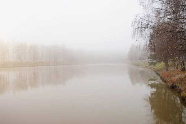 Туманное утро на маленьком пруду — стоковое фото