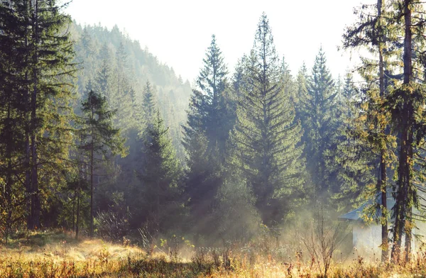 Sonnige Herbstlandschaft in den Bergen — Stockfoto
