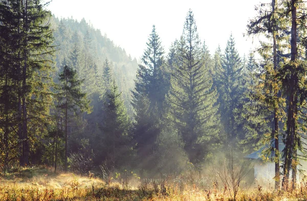 Zonnig herfst landschap in Bergen — Stockfoto