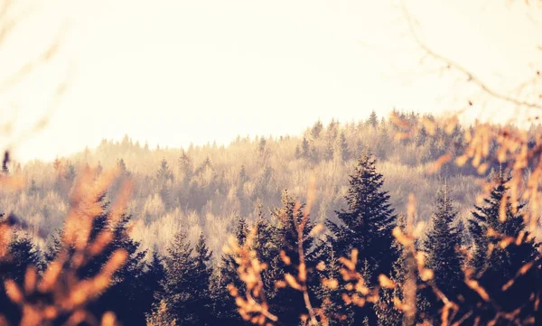 Zonnig herfst landschap in Bergen — Stockfoto