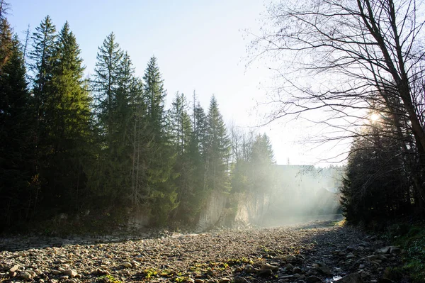 Felsige Küste des Flusses. Landschaft des Flusses — Stockfoto