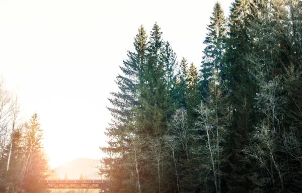 Paysage ensoleillé d'automne en montagne — Photo