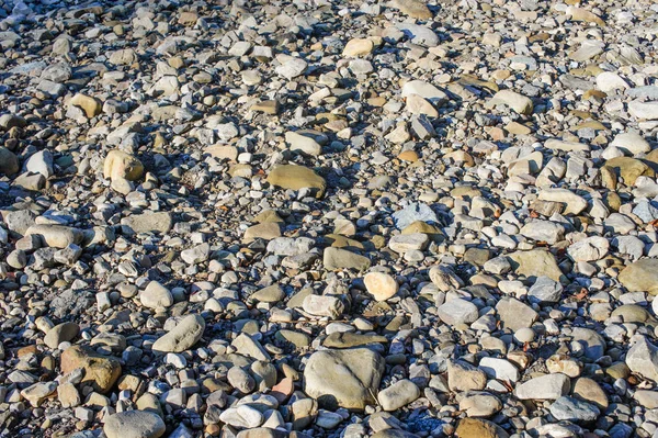 Côte rocheuse de la rivière. Paysage de la campagne rivière — Photo