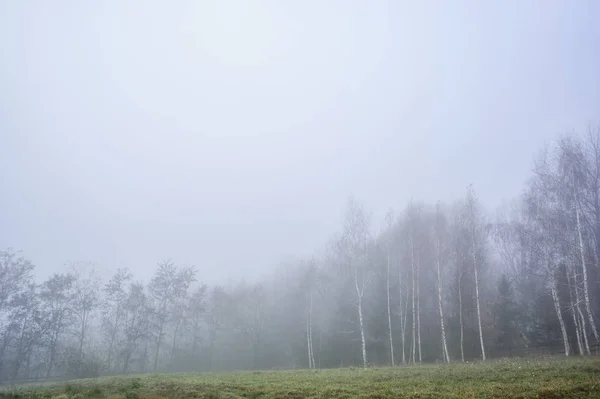 Foggy autumn landscape in mountains — Stock Photo, Image