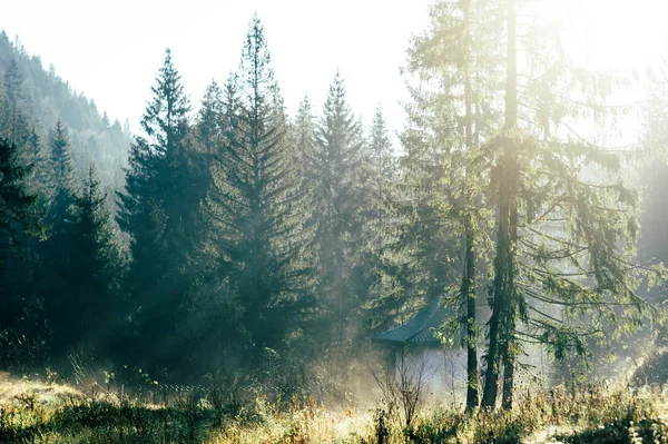 Sonnige Herbstlandschaft in den Bergen — Stockfoto