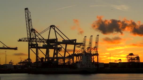 Puerto Marítimo Con Grúas Barcos Agua Atardecer — Vídeo de stock