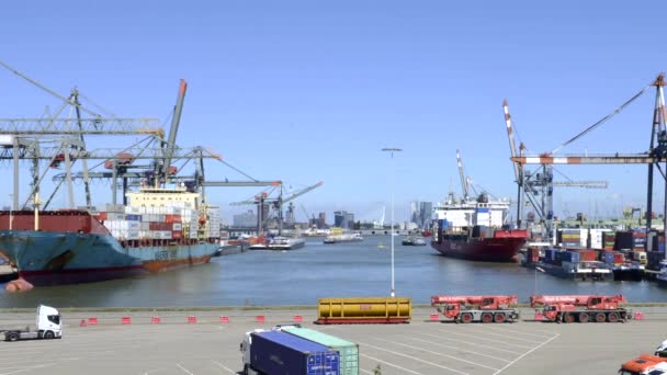 Belebter Seehafen Mit Intensivem Transport — Stockvideo