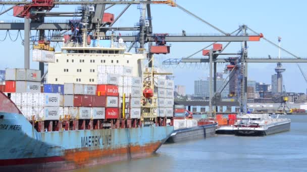 Puerto Marítimo Con Grúas Barcos Agua — Vídeo de stock
