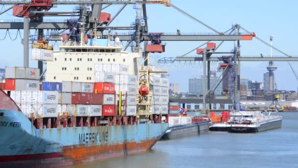 Port Maritime Avec Grues Navires Sur Eau — Video