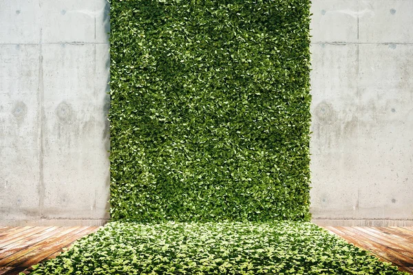 Rendering Verde Fresco Giardino Verticale Muro Cemento — Foto Stock