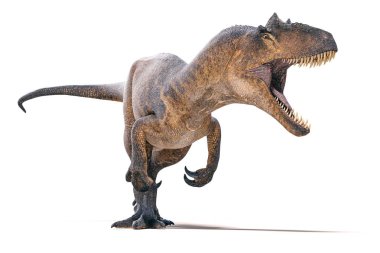 3D Allosaurus üzerinde beyaz arka plan render
