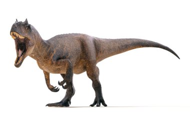 3D Allosaurus üzerinde beyaz arka plan render