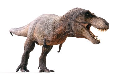 3D Tyrannosaurus rex beyaz arka plan üzerinde render
