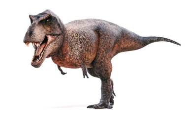 3D Tyrannosaurus rex beyaz arka plan üzerinde render
