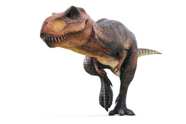 3D Tyrannosaurus rex beyaz arka plan üzerinde render