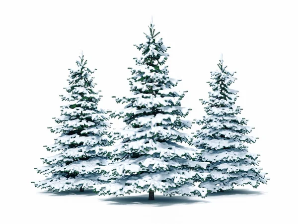 Χιόνι Κάλυψε Χριστουγεννιάτικο Δέντρο Λευκό Φόντο — Φωτογραφία Αρχείου