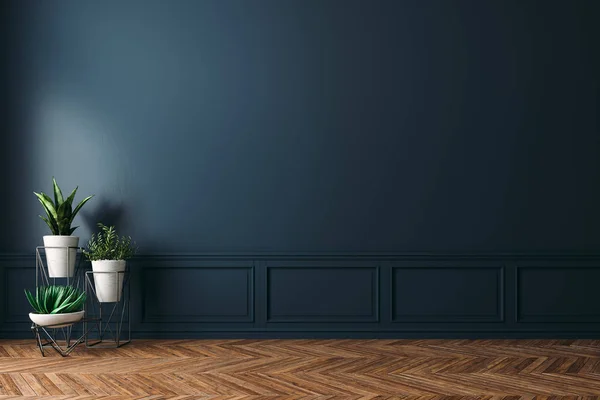 Empty Interior Home Plant — Stock Photo, Image