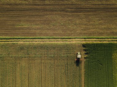 Mısır kırpma alanı, hava uçak pov görünümünden yetiştirilmesi traktör