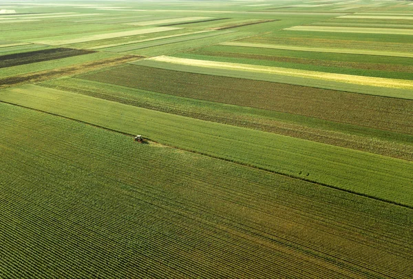 Ciągnik Kultywowanie Polu Upraw Kukurydzy Widok Lotu Ptaka Drone Pov — Zdjęcie stockowe