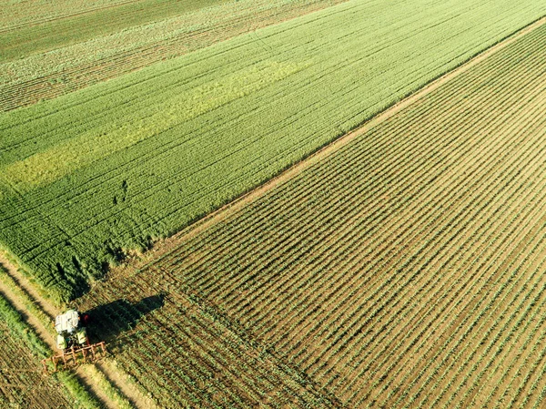 Tractor Cultivando Campo Cultivo Maíz Vista Aérea Desde Dron Pov — Foto de Stock