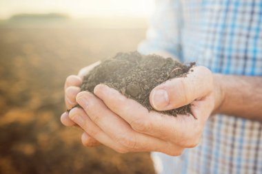 Toprak, avuç yakın çekim ekilebilir toprak, seçici odak yığını tutan çiftçi eline
