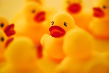 Kauçuk Grup sohbet ördekler. Birbirinizle konuşmak veya sosyal medya ve ağlar ilgili Temalar için dedikodu genç ducklings kavramsal görüntü.