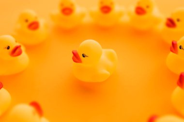 Lastik ördek liderlik kavramı, Grup veya takım, seçici odak dinlenmek için konuşmak lider olarak küçük sarı ördek yavrusu