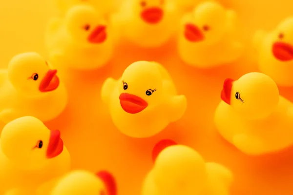 Group Rubber Ducks Chatting Conceptual Image Young Ducklings Talking Each — Stock Photo, Image