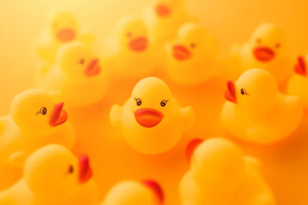 Patos Borracha Conceito Liderança Patinho Amarelo Pequeno Como Líder Conversando — Fotografia de Stock