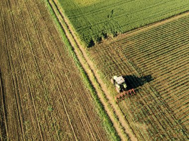 Tractor cultivating corn crop field, aerial view from drone pov clipart