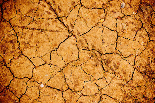 Dry cracked ground soil, top view. Texture of land during drought season. Unique natural pattern for backgrounds.