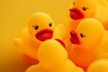 Lastik ördek liderlik kavramı, Grup veya takım, seçici odak dinlenmek için konuşmak lider olarak küçük sarı ördek yavrusu