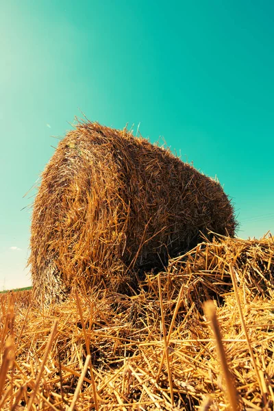 Rullade Höbalar Fältet Solig Sommardag — Stockfoto