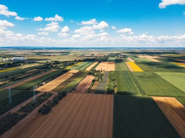Parlak güneşli yaz gününde dron bakış açısıyla ekili alanların havadan görünümü