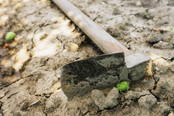 Verlassene Gartenhacke Auf Dem Boden Selektiver Fokus — Stockfoto