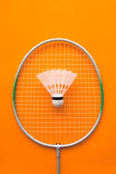 Badmintonracket Och Badmintonbollen För Rekreation Och Sport Fritid Friluftsliv — Stockfoto