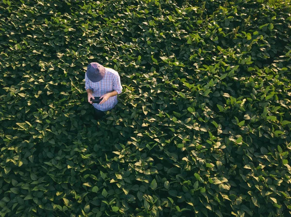 Agrônomo Agricultor Usando Drone Para Observar Controlar Campo Soja Cultivada — Fotografia de Stock