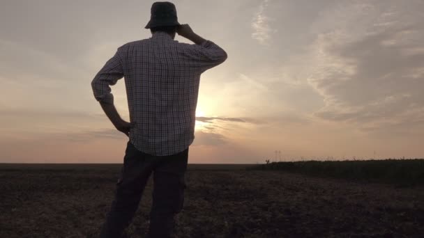 Agricultor Olhando Para Pôr Sol Horizonte Sobre Terras Agrícolas Planejamento — Vídeo de Stock
