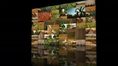 Tarım ve birden çok ekran video duvar yansıması ile tarım