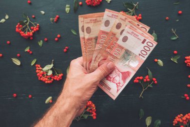 Sırp para birimi bin dinar banknotlar, tutan el koyu arka plan üzerinde vahşi berry meyve ile dekoratif düzenlemenin üstten görünüm