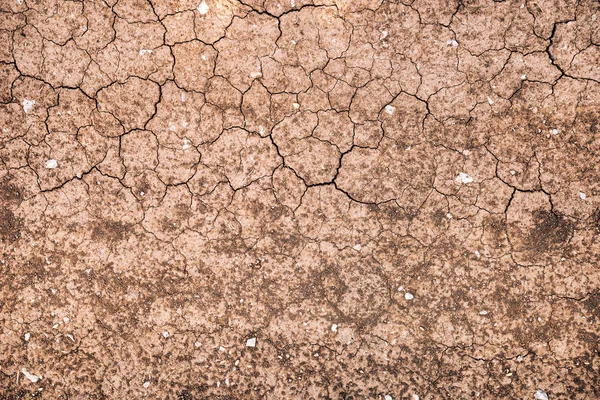 Pozemní Špína Textura Shora Pohled Shora Přirozeného Pozadí — Stock fotografie