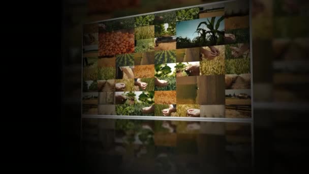 Zemědělské Činnosti Více Obrazovkách — Stock video