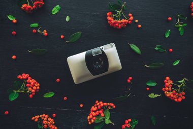 Retro vintage film kamera düz vahşi berry meyve düzenleme ile dekore edilmiş koyu arka plan üzerinde yatıyordu