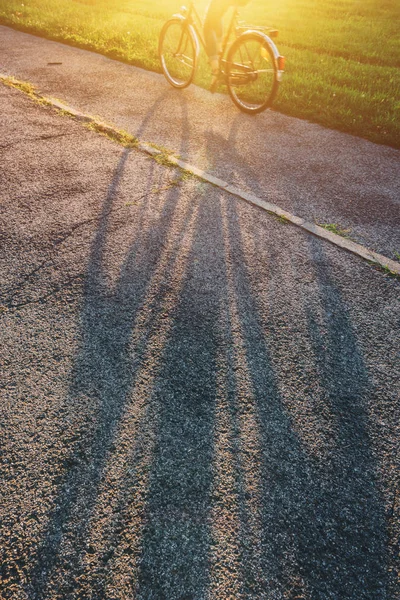 夏の日没の路上女性乗馬の自転車の影 — ストック写真
