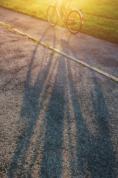 Ombre Une Femme Vélo Dans Rue Coucher Soleil Été — Photo