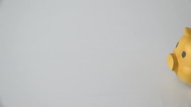 Domuz para banka ile oynamak