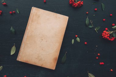 Düz yatıyordu vintage ciltli kitap, vahşi berry meyve decoarative düzenleme ile üstten görünüm